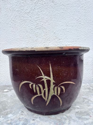 Wide garden pot