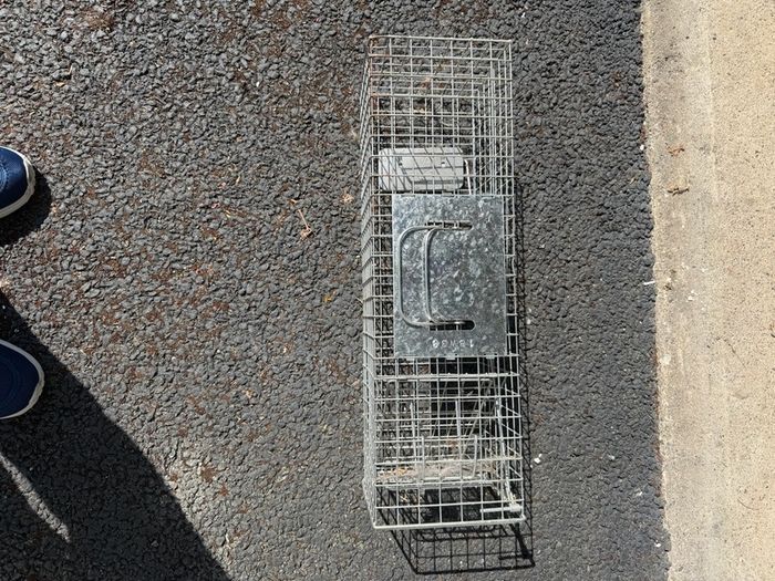 Rodent Trap