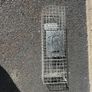 Rodent Trap Image 2