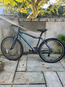 Ladies Carrera Bike
