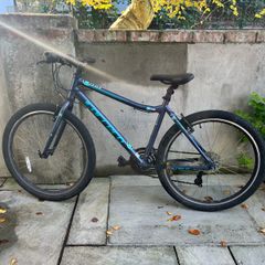 Ladies Carrera Bike