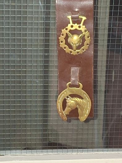 Antique Horse Brass Hanging Strap, Brown Leather Strip Mounted Five Brass Medallions Horse Brasses. Postage Available or Collection