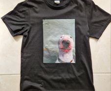 Bull Terrier Tshirt