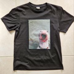 Bull Terrier Tshirt