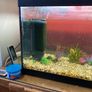 Fish tank Image 2