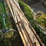Timber Image 2