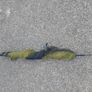 fishing Image 4
