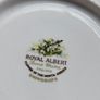 Royal Albert bone china cup and saucer Image 3