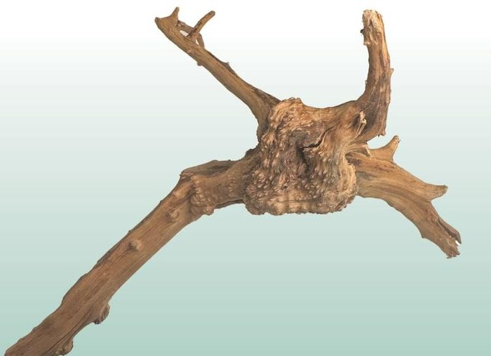 Red Moor Wood/Azalea Wood