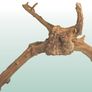 Red Moor Wood/Azalea Wood Image 4