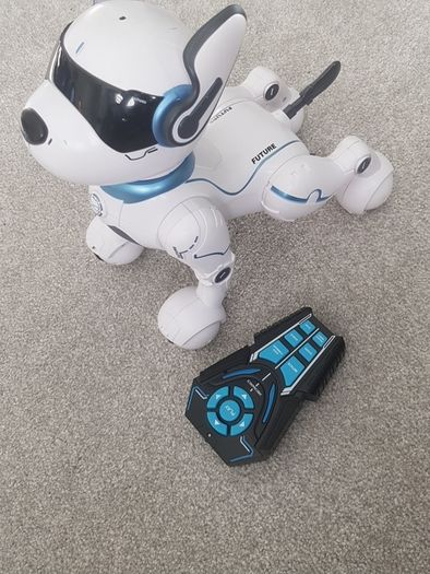 Toy