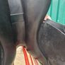 Selleria De Garda 18 Jumping Saddle Image 6