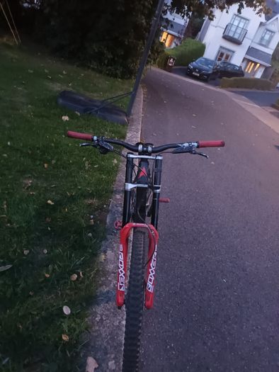 Vitus dh bike