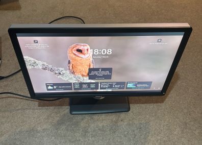 Dell monitor