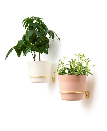 Brass Wall Plant Hanger - 2 different sizes Priced Individually