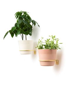 Brass Wall Plant Hanger - 2 different sizes Priced Individually