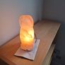 Salt Lamp (dog) Image 2