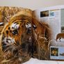 Animal: The Definitive Visual Guide encyclopedia reference books Image 10