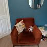 EZ Living Megan Rust Velvet 3-Piece Suite (2-Seater, Armchair & Footstool) Image 2