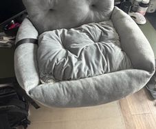 Dog car bed