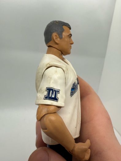 wwe Shane McMahon action figure