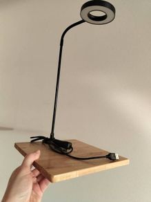 LED Lamp USB Powered, Flexible Neck
