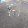 Road Runner Warner Bros Glass animation looney tunes  vintage kids animation Image 5