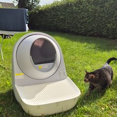 CATLINK Scooper Pro X Young Automatic Litter Box + stairway