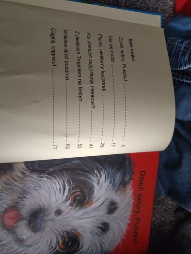 Polish book hard cover