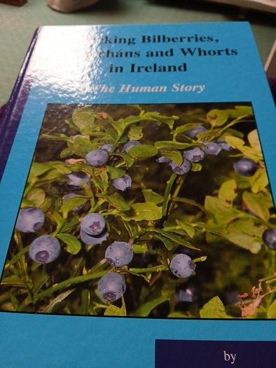 Irish interest