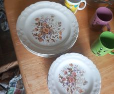 plates dinner