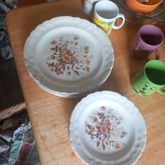 plates dinner
