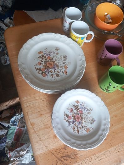 plates dinner