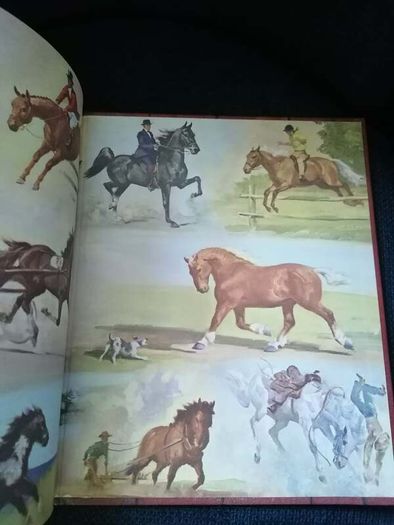 Album of Horses" by Marguerite Henry