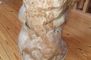 Pottery Vase