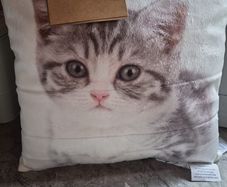 Small cat cushion bnwt