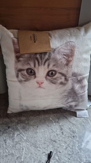 Small cat cushion bnwt