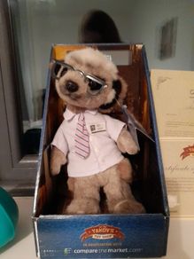 Sergei -Compare the Meerkat