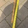 walking stick Image 3