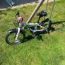 Frog Bike 48 Image 2