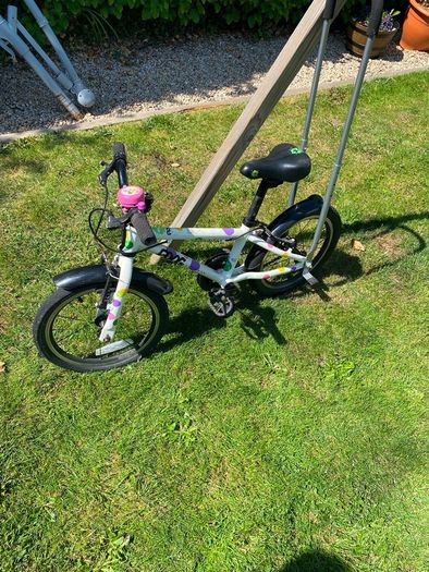 Frog Bike 48
