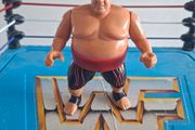 WWF Hasbro Yokozuna