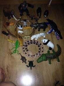 Collection of Jungle Animals 24 pieces