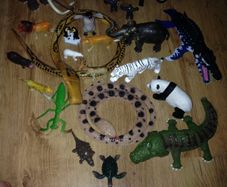 Collection of Jungle Animals 24 pieces
