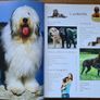 The Complete Illustrated Encylopedia of Dogs & Puppies Image 3