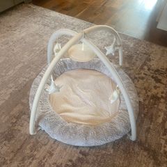 Baby Playmat & Gym