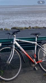 Raleigh bike + 2 Helmets