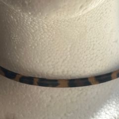 Animal Print Choker