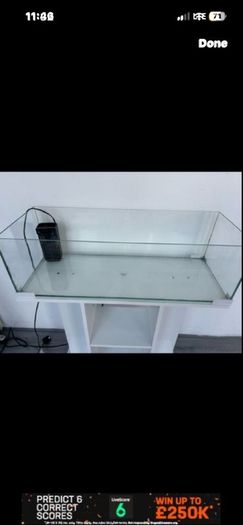 aquarium and stand
