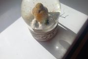 snow globe